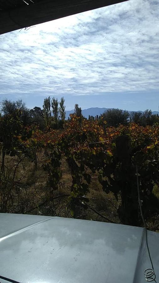 Finca Amancay Villa Union  Dış mekan fotoğraf